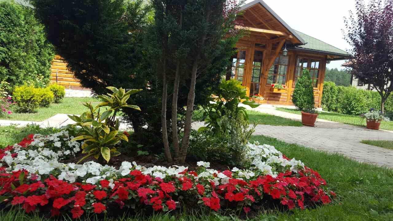 Guest House Vila Zunic زلاتيبور المظهر الخارجي الصورة