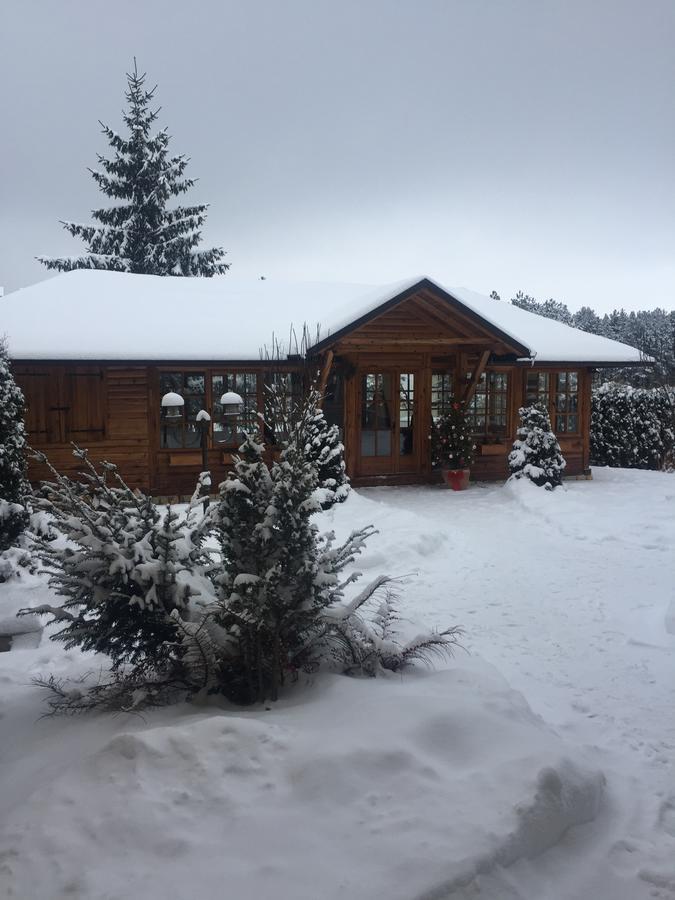 Guest House Vila Zunic زلاتيبور المظهر الخارجي الصورة
